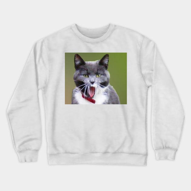 Grey Yawn Crewneck Sweatshirt by jalfc46